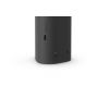 Беспроводная hi-fi акустика Sonos Roam Black